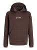 JACK & JONES Junior Kapuzenpullover in Java