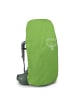 Osprey Ariel 65 Women XS/S - Trekkingrucksack 75 cm (koseret green) in koseret green