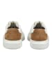 Geox Sneaker in Weiß/Braun