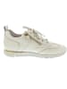 Gabor Sneaker low Beige