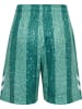 Hummel Kurze Hose Hmlshimmer Kinder in JUNE BUG