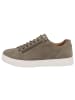 Solidus Sneaker Low in braun