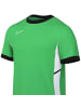 Nike Nike Dri-FIT Academy 25 SS Top in Grün
