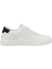 Calvin Klein Sneaker low Low Top Lace Up Knit in weiss