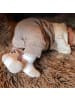 Hoppediz Babysocken Sockenhalter in 3-er Set creme