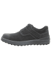 Josef Seibel Schnürschuhe in schwarz