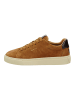 GANT Footwear Sneaker in Walnut
