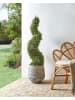 Beliani Kunstpflanze CYPRESS SPIRAL TREE in Grün/Schwarz - (W) 32 x (H) 126 x (L) 32 cm