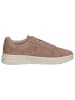 Caprice Halbschuh in SAND SUEDE