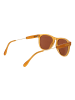 Serengeti Männer Sonnenbrille Panto Honig