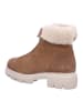 Paul Green Stiefeletten/Boot in braun