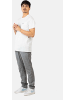 Reell Stoffhose "Reflex Evo" in Grau