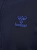 Hummel Hummel Sweatshirt Hmlpro Multisport Herren Schnelltrocknend in MARITIME BLUE/SURF THE WEB