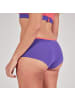 EIN SCHÖNER FLECK ERDE W NATURLIEBHABERIN PANTY in Lila