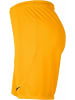 Nike Kurze Hose für Herren in uni