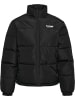 Hummel Hummel Jacket Hmllgc Herren Wasserabweisend in BLACK