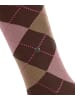 Burlington Marylebone Kniestrumpf in Hazelnut