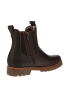 PANAMA JACK Chelsea-Boots Beny Igloo in Braun