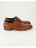 Daniel Kenneth Klassische Schnürschuhe in Braun