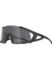 Alpina Ski-Sonnenbrille in schwarz