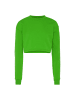 Flyweight Damen Sweatshirt in Saftiges Grün