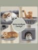 Feandrea Katzenbaum Clawfy in Hellgrau - (B)60 x (H)112 x (T)70 cm