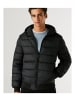 Pepe Jeans Federn in Schwarz