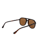 Barbour Damen Sonnenbrillen Aviator Havanna
