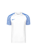 Nike Performance Fußballtrikot Dri-Fit Academy in weiß / blau