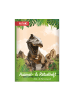 ROTH Set Ausmalbuch mit Buntstiften Tyrannosaurus