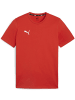 Puma T-Shirt "TeamGoal CasuaLongsleeve Tee" in Rot