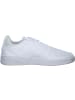 adidas Klassische- & Business Schuhe in ftwr white  ftwr white  ftwr w