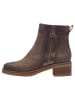 Marco Tozzi Stiefelette in MOCCA COMB