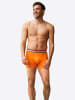 Happy Shorts Trunk Koningsdag in kingsday-orange-lions