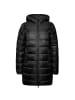 Champion Winterjacke Hooded Polyfilled in schwarz