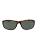Guess Unisex Sonnenbrille Rechtwinklig Braun