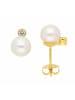Adeliás Damen 333 Gold Ohrringe / Ohrstecker mit Zirkonia in gold
