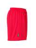 uhlsport  Shorts Center Basic Shorts FTP Women in rot