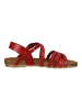 Cosmos Comfort Sandalen in Rot