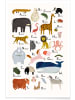 Juniqe Poster "Tiere von A bis Z" in Bunt