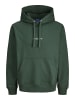 Jack & Jones Sweatshirt JORNORREBRO EMB SWEAT HOOD in Grün