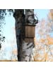 relaxdays Fledermauskasten in Braun - (B)22 x (H)37 x (T)12,5 cm