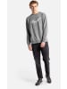 Reell Pullover "Big Logo Crewneck" in Grau