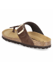 Beliana Pantolette in brown