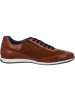 Bugatti Sportliche Halbschuhe in cognac