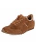 Paul Green Schnürhalbschuh in brown