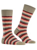 Burlington Socken Signature Stripe in Desert sand