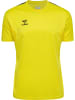 Hummel T-Shirt Hmlauthentic Herren in BLAZING YELLOW