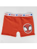 MARVEL Spider-Man Spidey Schlafanzug Pyjama Set & Nachtwäsche 6 Jahre