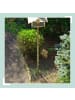 relaxdays 24 x Dornengitter in Schwarz - (B)49 x (T)14 cm